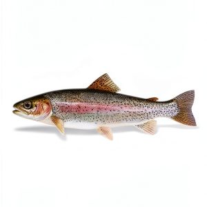 UCRA Fisheries Aquaculture Kindle Book 9.99-0