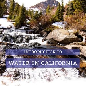 Water Supply Kindle eBook UCP Press Second Edition-0